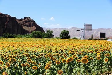 亡灵巫师模拟器《亡灵巫师2》上架Steam 2023年发售